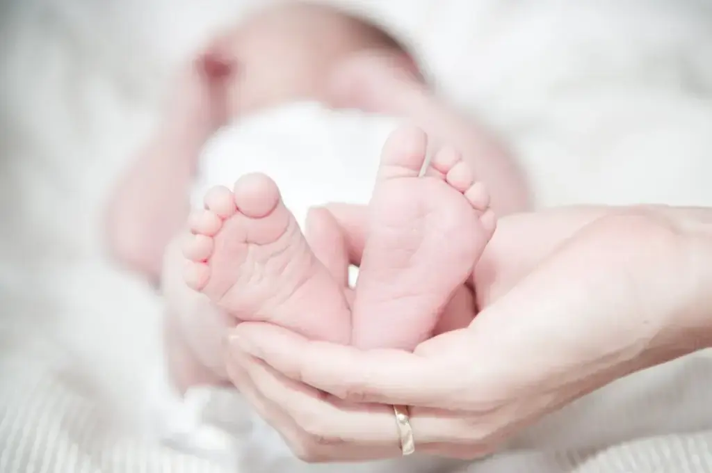 嬰兒奶嘴推薦指南：為你的小寶貝挑選最佳奶嘴